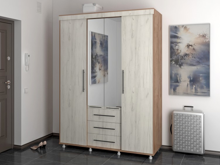 Шкаф купе Диор-5